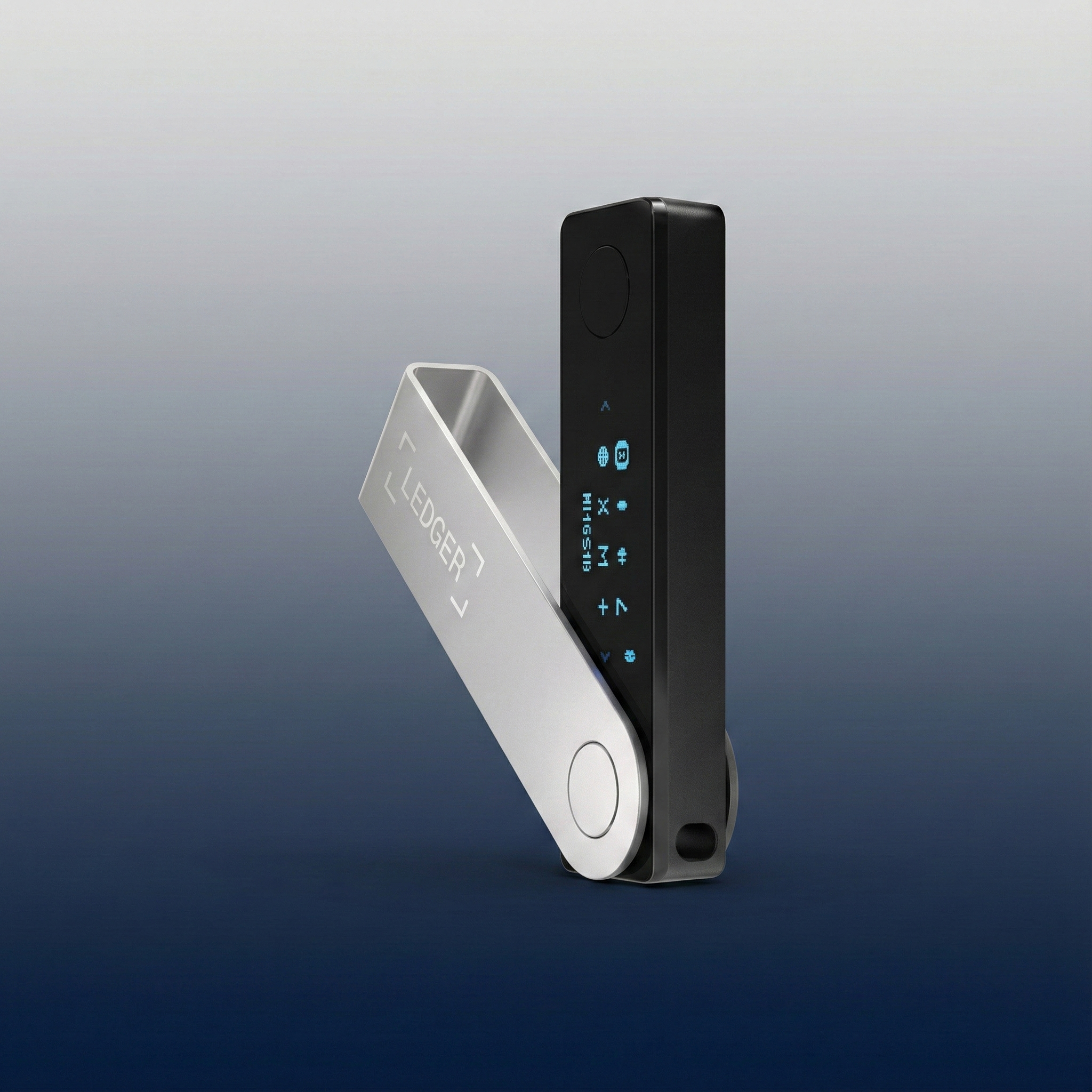 Ledger Nano X